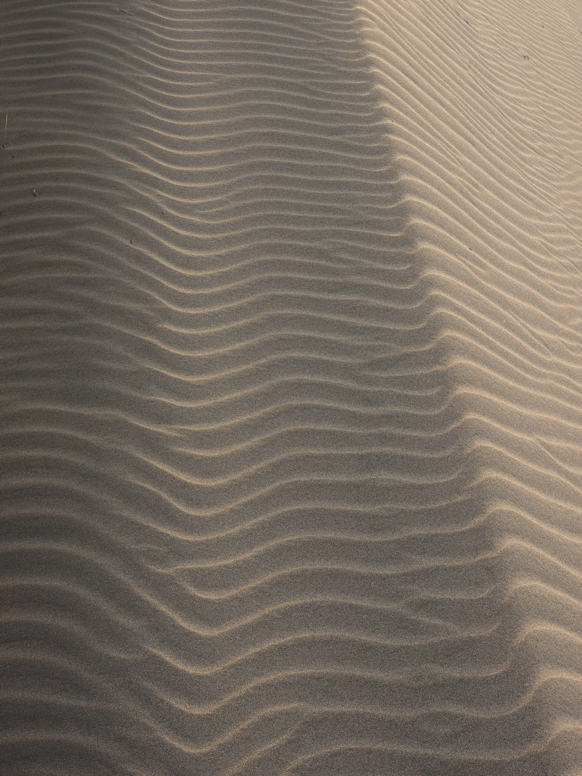 風紋 | TAT Gallery